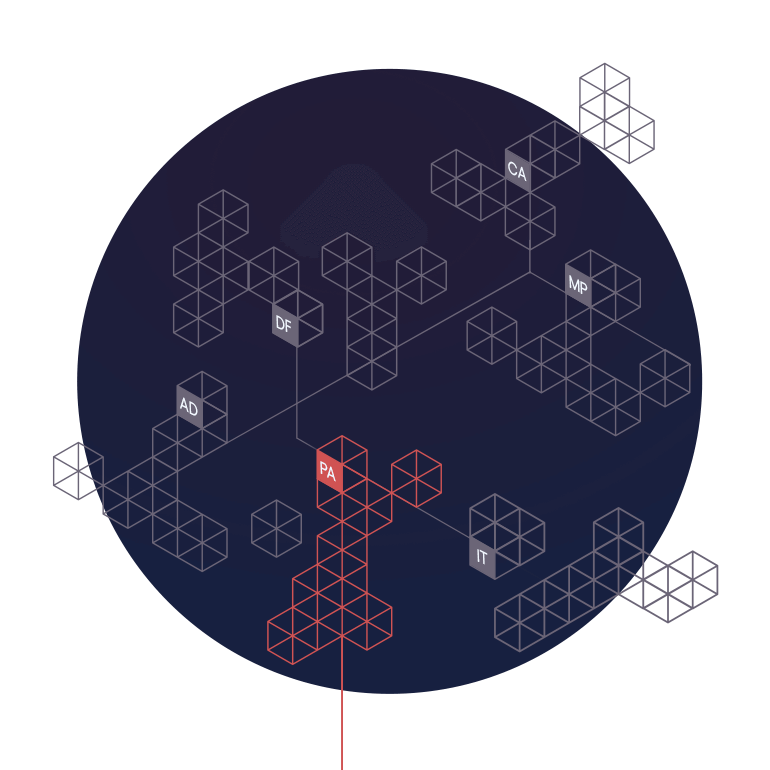 apis3
