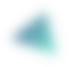 apisico